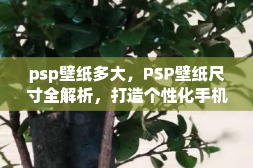 psp壁纸多大,PSP壁纸尺寸全解析,打造个性化手机屏保的秘诀 psp壁纸多大,PSP壁纸尺寸全解析,打造个性化手机屏保的秘诀