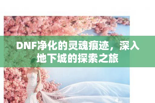 DNF净化的灵魂痕迹图片