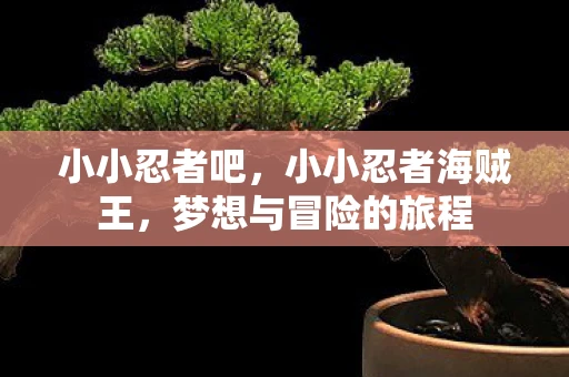 小小忍者吧，小小忍者海贼王，梦想与冒险的旅程