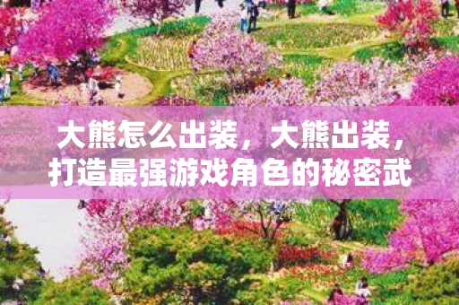 大熊怎么出装，大熊出装，打造最强游戏角色的秘密武器