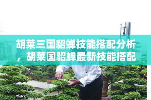 胡莱三国貂蝉技能搭配分析,胡莱国貂蝉最新技能搭配攻略 胡莱三国貂蝉技能搭配分析,胡莱国貂蝉最新技能搭配攻略