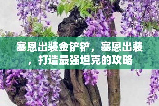 塞恩出装金铲铲,塞恩出装,打造最强坦克的攻略 塞恩出装金铲铲,塞恩出装,打造最强坦克的攻略