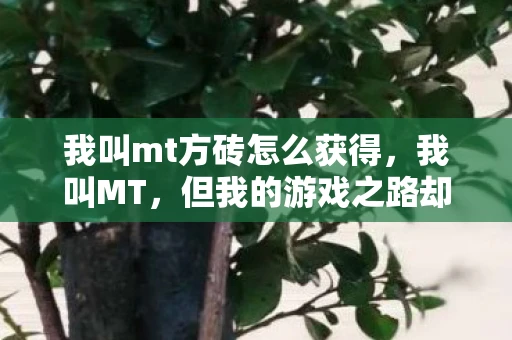 我叫mt方砖怎么获得，我叫MT，但我的游戏之路却与众不同—刷方砖的奇妙之旅