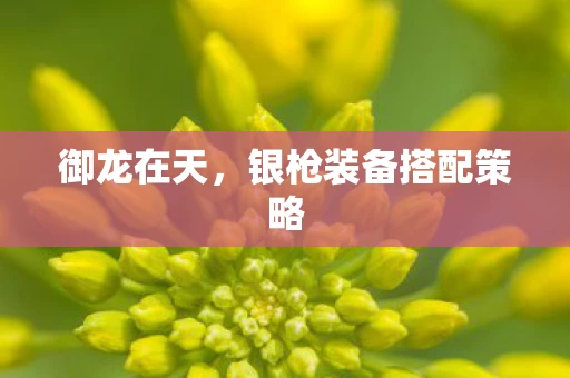 银枪装备搭配策略图片