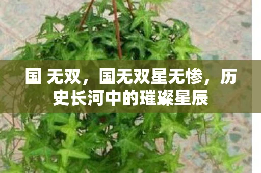 国 无双，国无双星无惨，历史长河中的璀璨星辰
