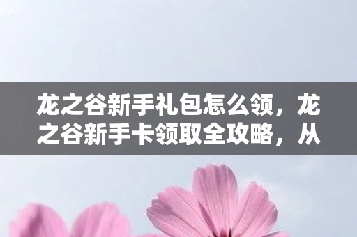 龙之谷新手礼包怎么领，龙之谷新手卡领取全攻略，从零开始，打造你的冒险之旅