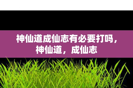 神仙道成仙志有必要打吗，神仙道，成仙志