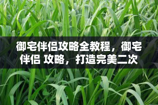 御宅伴侣攻略全教程，御宅伴侣 攻略，打造完美二次元生活