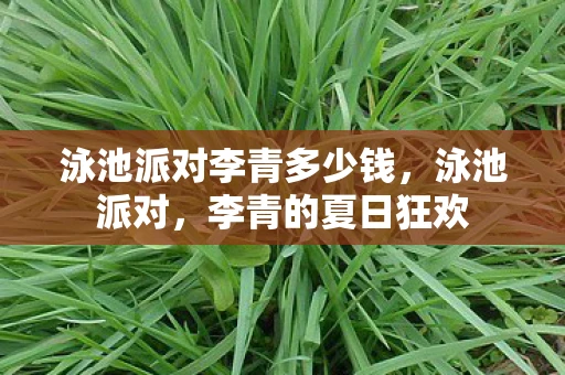 泳池派对李青多少钱，泳池派对，李青的夏日狂欢