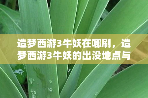 造梦西游3牛妖在哪刷，造梦西游3牛妖的出没地点与攻略
