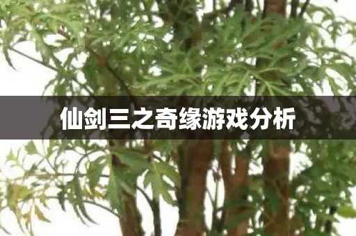 仙剑三之奇缘游戏分析图片