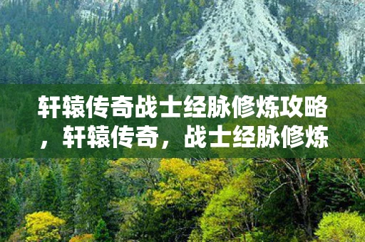 轩辕传奇战士经脉修炼攻略，轩辕传奇，战士经脉修炼指南