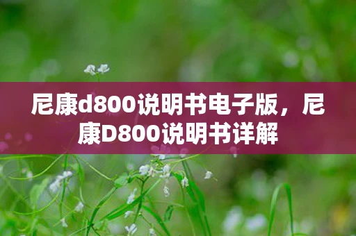 尼康d800说明书电子版，尼康D800说明书详解