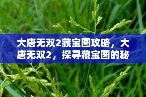 大唐无双2藏宝图攻略,大唐无双2,探寻藏宝图的秘密 大唐无双2藏宝图攻略,大唐无双2,探寻藏宝图的秘密