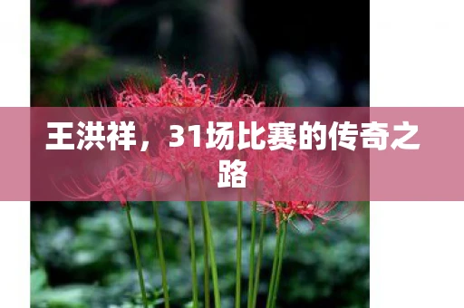 王洪祥,31场比赛的传奇之路 王洪祥,31场比赛的传奇之路
