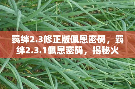 羁绊2.3修正版佩恩密码,羁绊2.3.1佩恩密码,揭秘火影忍者中的神秘编码 羁绊2.3修正版佩恩密码,羁绊2.3.1佩恩密码,揭秘火影忍者中的神秘编码