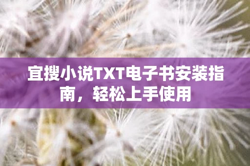 宜搜小说TXT电子书安装指南图片