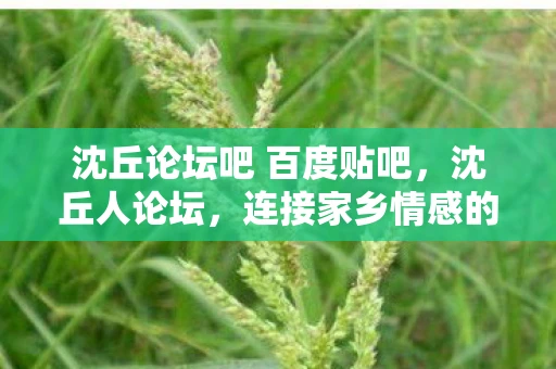 沈丘论坛吧 百度贴吧，沈丘人论坛，连接家乡情感的桥梁