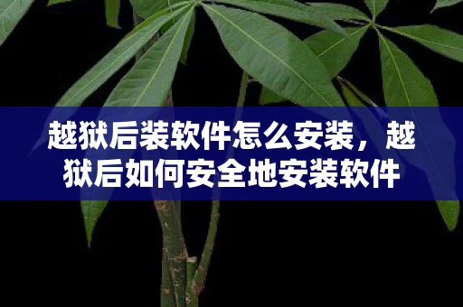 越狱后装软件怎么安装，越狱后如何安全地安装软件