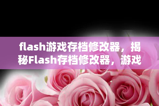 flash游戏存档修改器，揭秘Flash存档修改器，游戏玩家的秘密武器