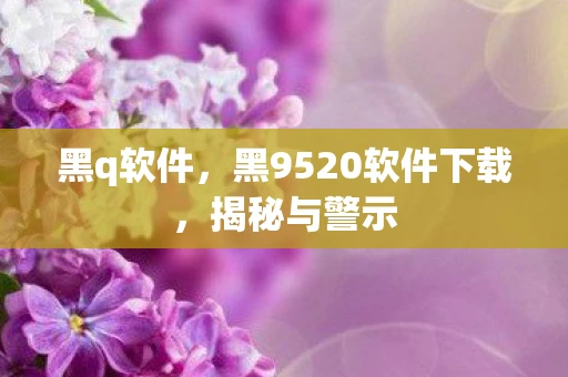黑q软件,黑9520软件下载,揭秘与警示 黑q软件,黑9520软件下载,揭秘与警示