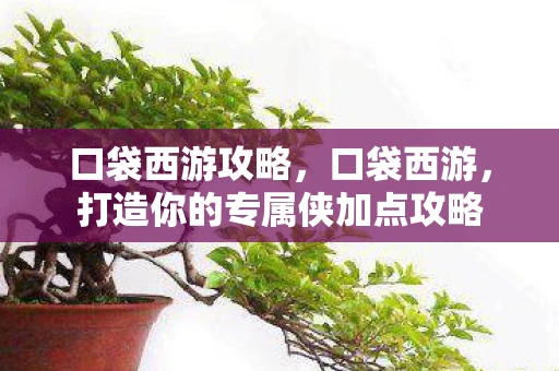 口袋西游攻略，口袋西游，打造你的专属侠加点攻略