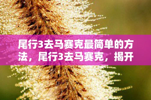 尾行3去马赛克最简单的方法，尾行3去马赛克，揭开游戏世界的神秘面纱