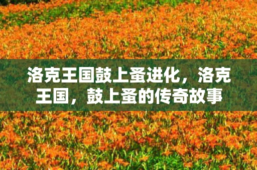 洛克王国鼓上蚤进化，洛克王国，鼓上蚤的传奇故事