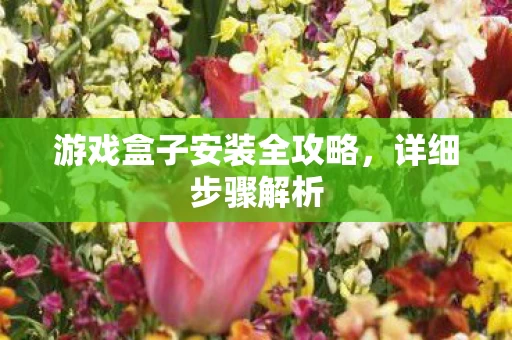 游戏盒子安装全攻略图片