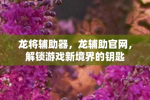 龙将辅助器,龙辅助官网,解锁游戏新境界的钥匙 龙将辅助器,龙辅助官网,解锁游戏新境界的钥匙