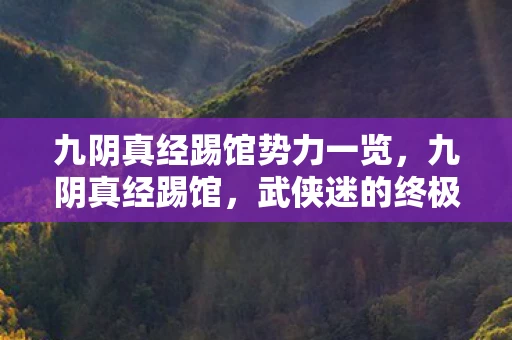 九阴真经踢馆势力一览,九阴真经踢馆,武侠迷的终极挑战 九阴真经踢馆势力一览,九阴真经踢馆,武侠迷的终极挑战