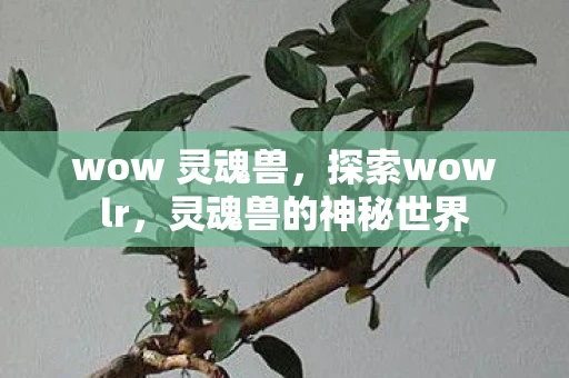 wow 灵魂兽，探索wowlr，灵魂兽的神秘世界