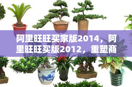 阿里旺旺买家版2014，阿里旺旺买版2012，重塑商业沟通的新篇章