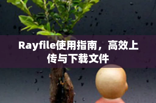 Rayfile使用指南图片