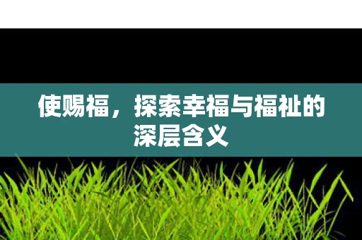 使赐福，探索幸福与福祉的深层含义