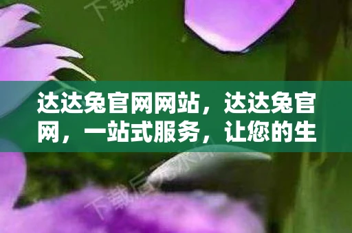 达达兔官网网站，达达兔官网，一站式服务，让您的生活更便捷