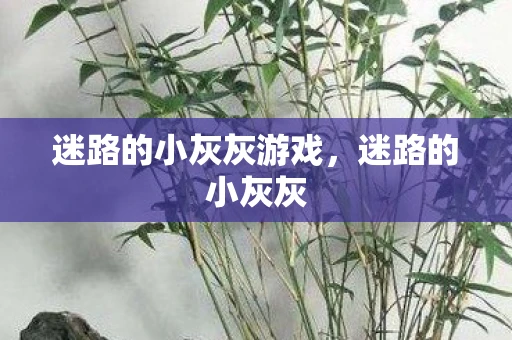 迷路的小灰灰游戏，迷路的小灰灰