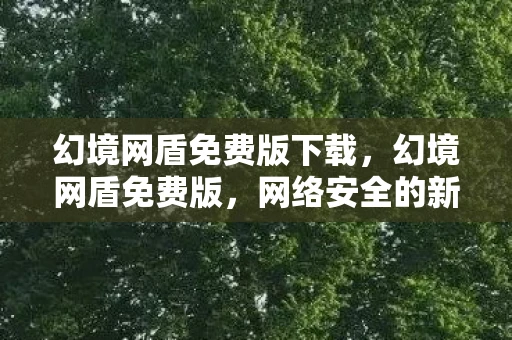 幻境网盾免费版下载，幻境网盾免费版，网络安全的新选择