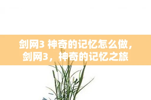 剑网3 神奇的记忆怎么做，剑网3，神奇的记忆之旅