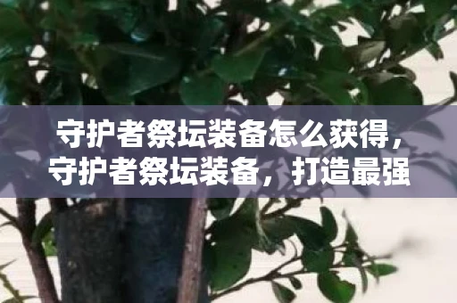 守护者祭坛装备怎么获得，守护者祭坛装备，打造最强战斗力的神秘途径