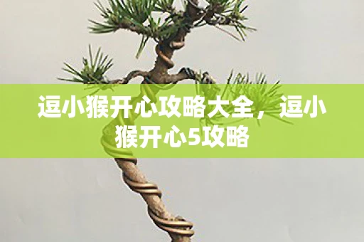 逗小猴开心攻略大全,逗小猴开心5攻略 逗小猴开心攻略大全,逗小猴开心5攻略