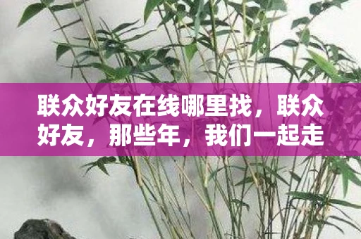 联众好友在线哪里找，联众好友，那些年，我们一起走过的游戏时光