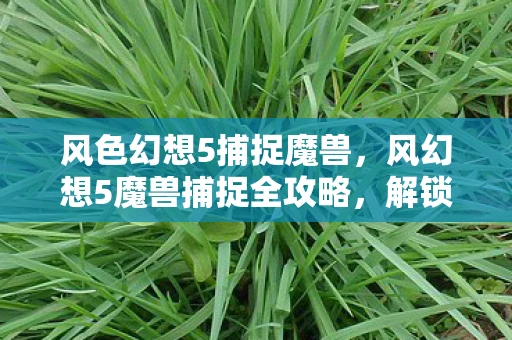 风色幻想5捕捉魔兽，风幻想5魔兽捕捉全攻略，解锁你的魔兽收藏家之旅