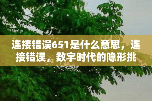 连接错误651是什么意思，连接错误，数字时代的隐形挑战