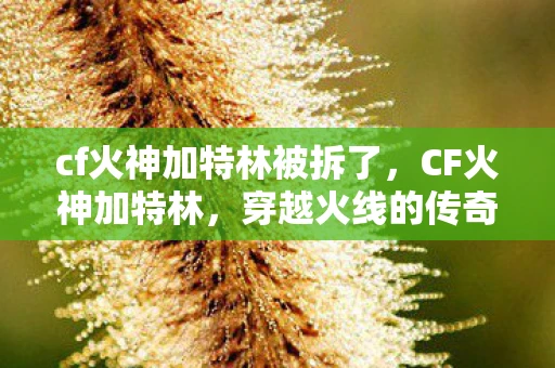 cf火神加特林被拆了，CF火神加特林，穿越火线的传奇武器