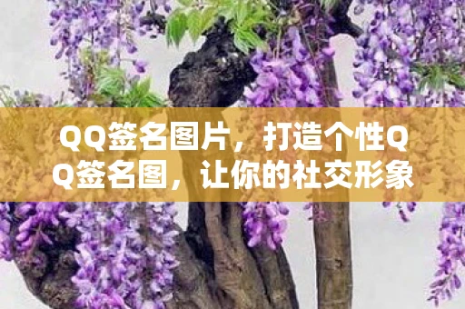QQ签名图片,打造个性QQ签名图,让你的社交形象更出彩 QQ签名图片,打造个性QQ签名图,让你的社交形象更出彩