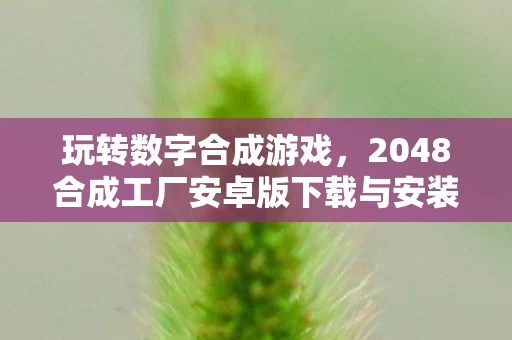 2048合成工厂安卓版下载与安装图片