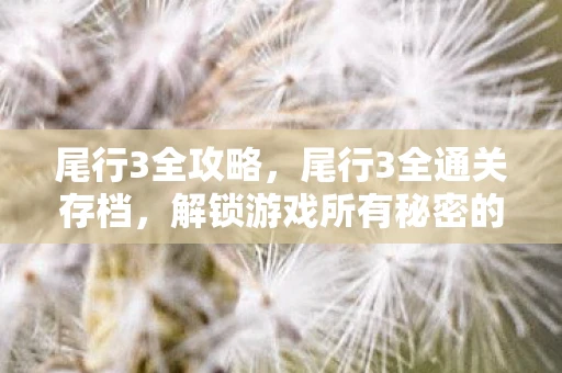 尾行3全攻略,尾行3全通关存档,解锁游戏所有秘密的终极指南 尾行3全攻略,尾行3全通关存档,解锁游戏所有秘密的终极指南
