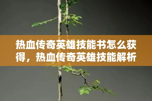 热血传奇英雄技能书怎么获得，热血传奇英雄技能解析，掌握战斗的艺术