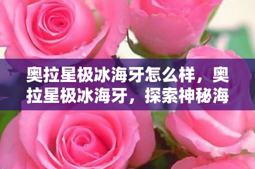 奥拉星极冰海牙怎么样，奥拉星极冰海牙，探索神秘海域的奇幻之旅